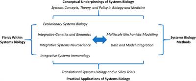 Integrating Mindsets and Toolsets at the Frontier of Systems Biology